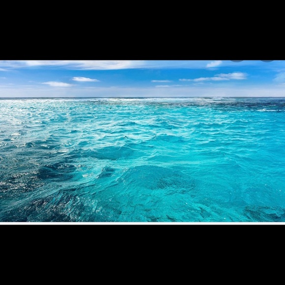 Meet your Posher, Kadia - Picture 1 of 1